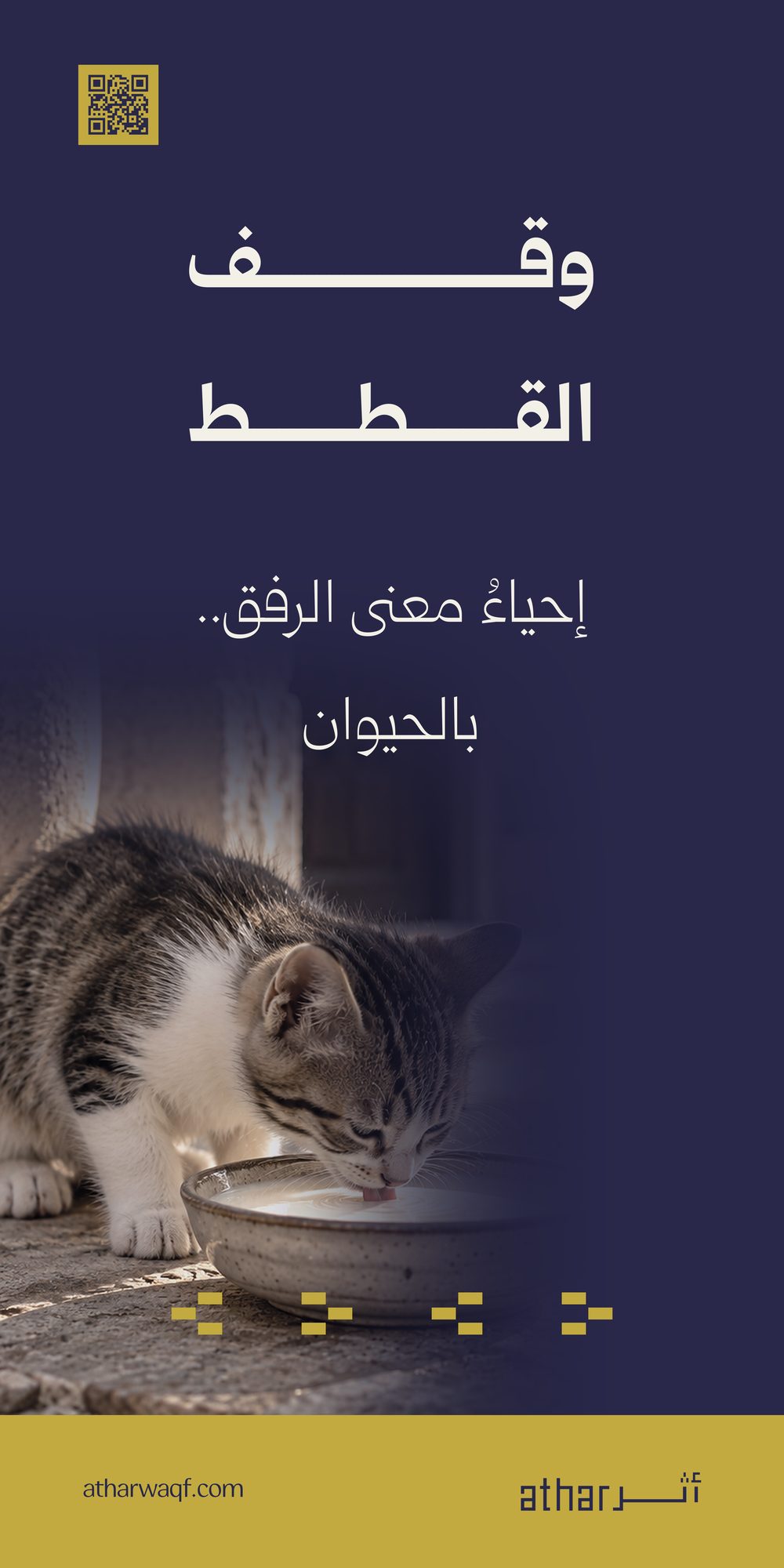 وقف القطط
