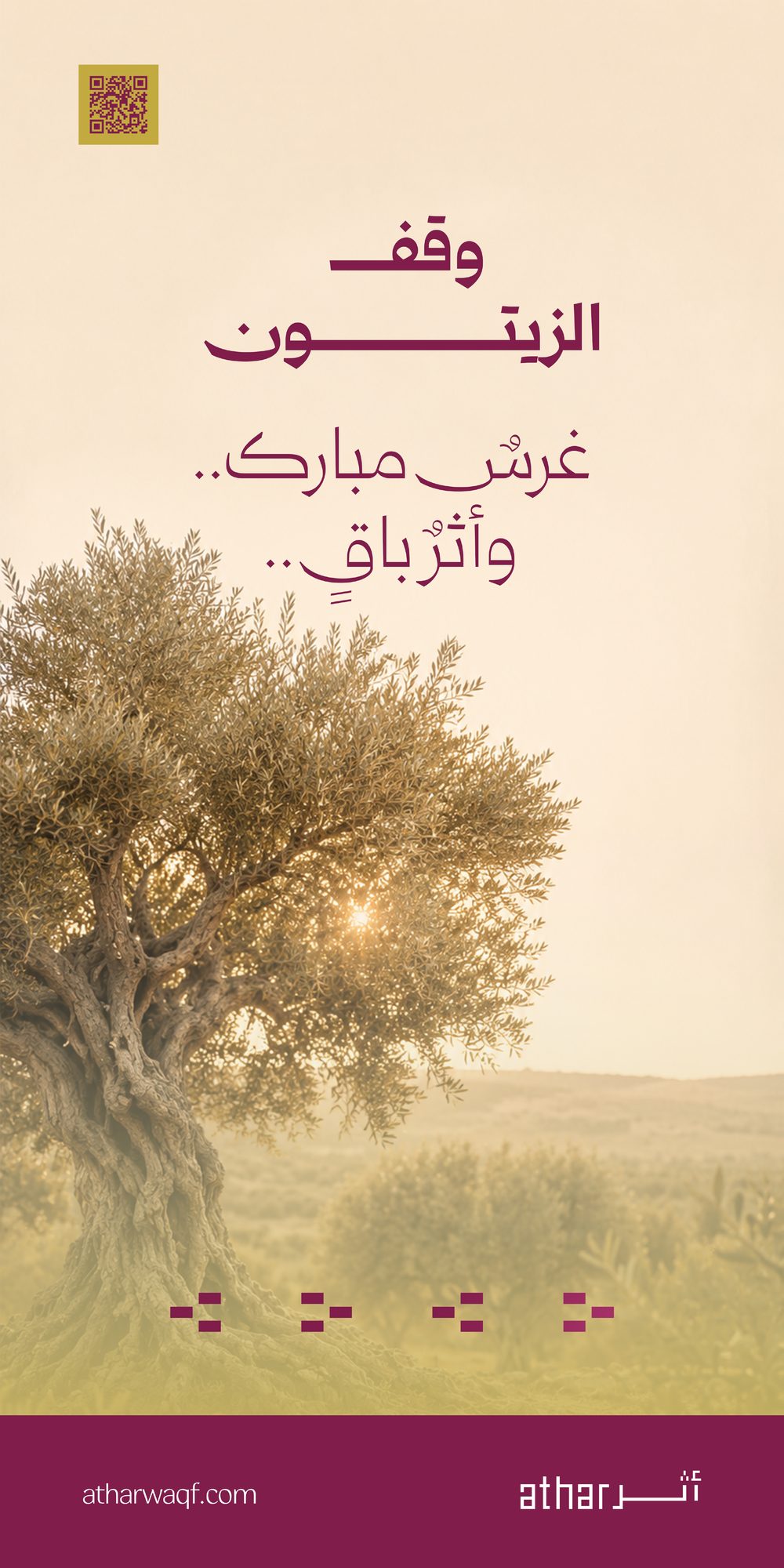 وقف الزيتون